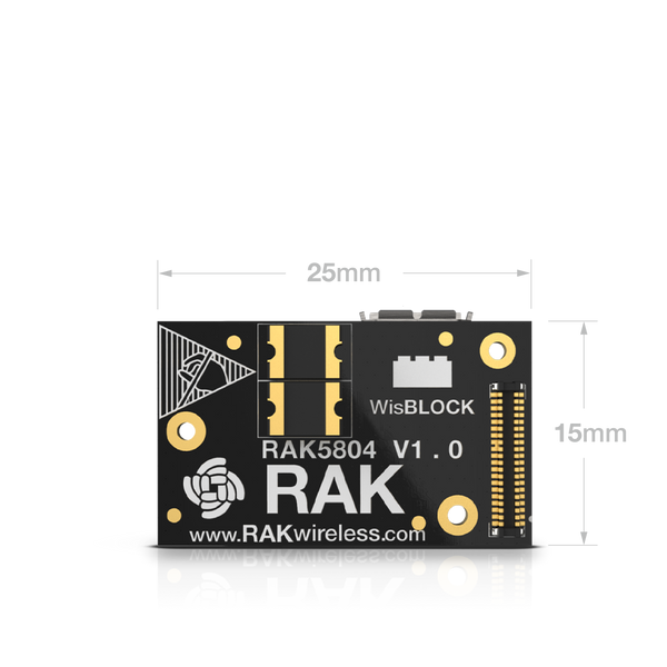 IO Extension Module | RAK5804 
