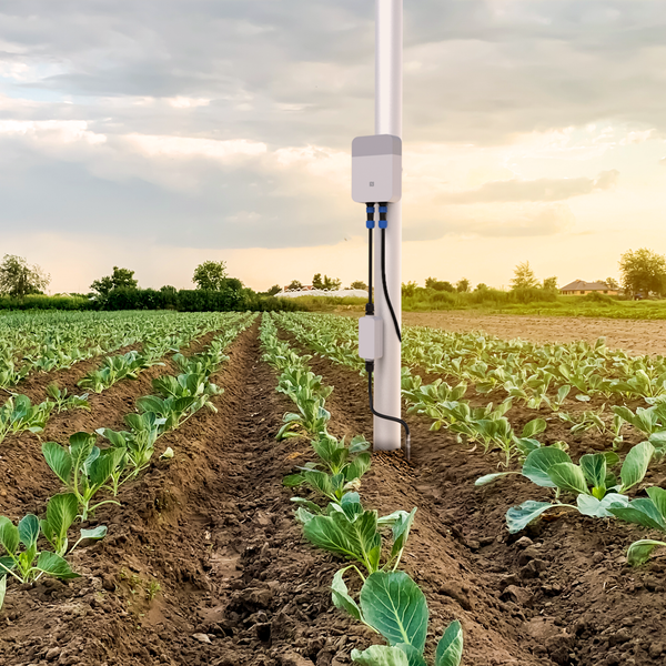 Soil pH Monitoring | Wireless soil pH monitoring kit for accurate acidity data