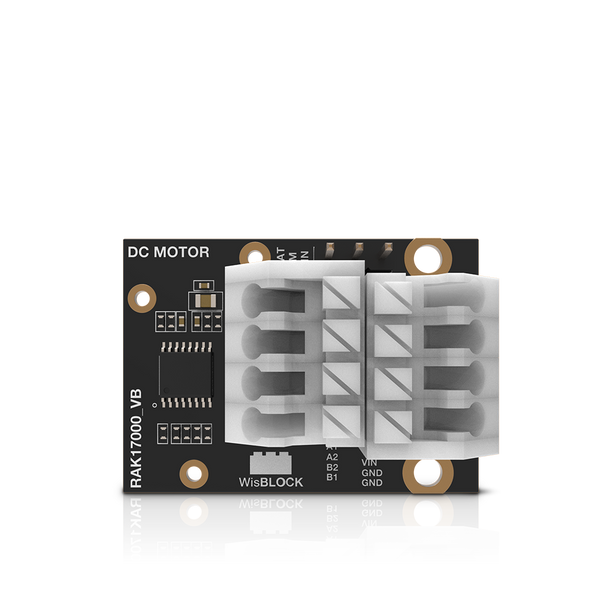 Motor Control Module Texas Instruments DRV8833 | RAK17000