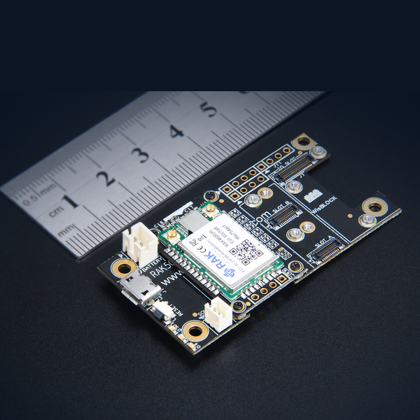 nRF52832 MCU and SX1276 LoRa chip