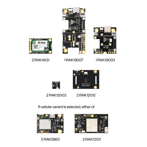 WisBlock Biometric Monitoring Kit | IoT Development Kit