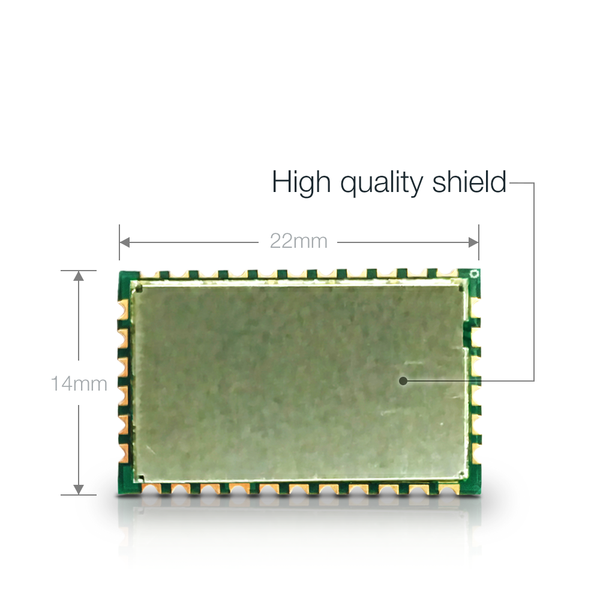 Module for LoRaWAN